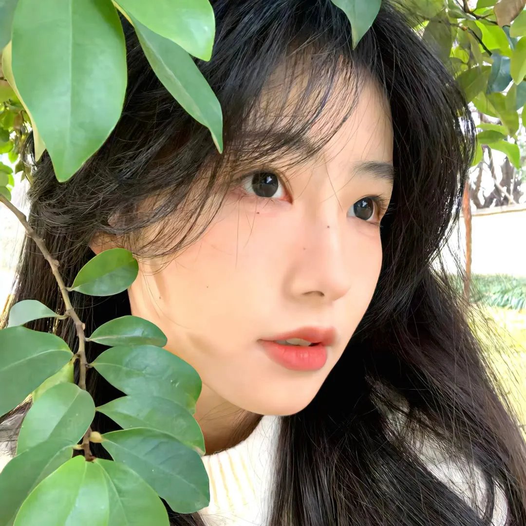 最后的机会